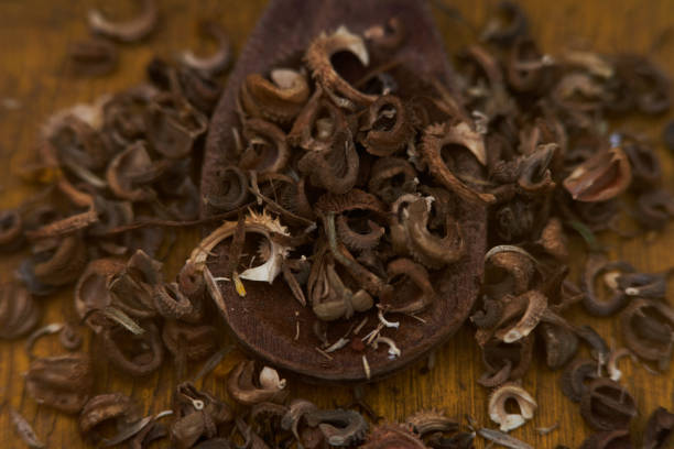 istock brown marigold seeds on a sowing spoon 1289302656
