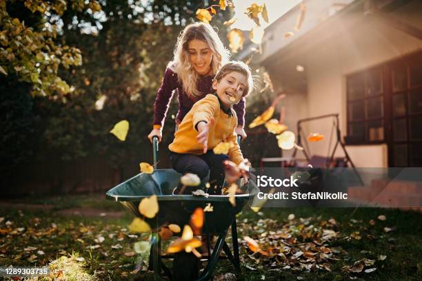 Crazy As Always Stock Photo - Download Image Now - Autumn, Family, Domestic Life