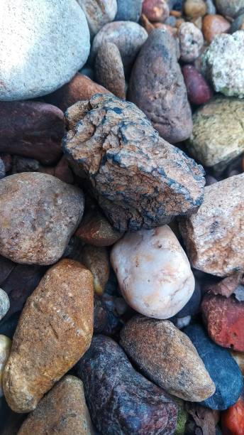 istock Exotic pebbles in the courtyard garden 1289304683