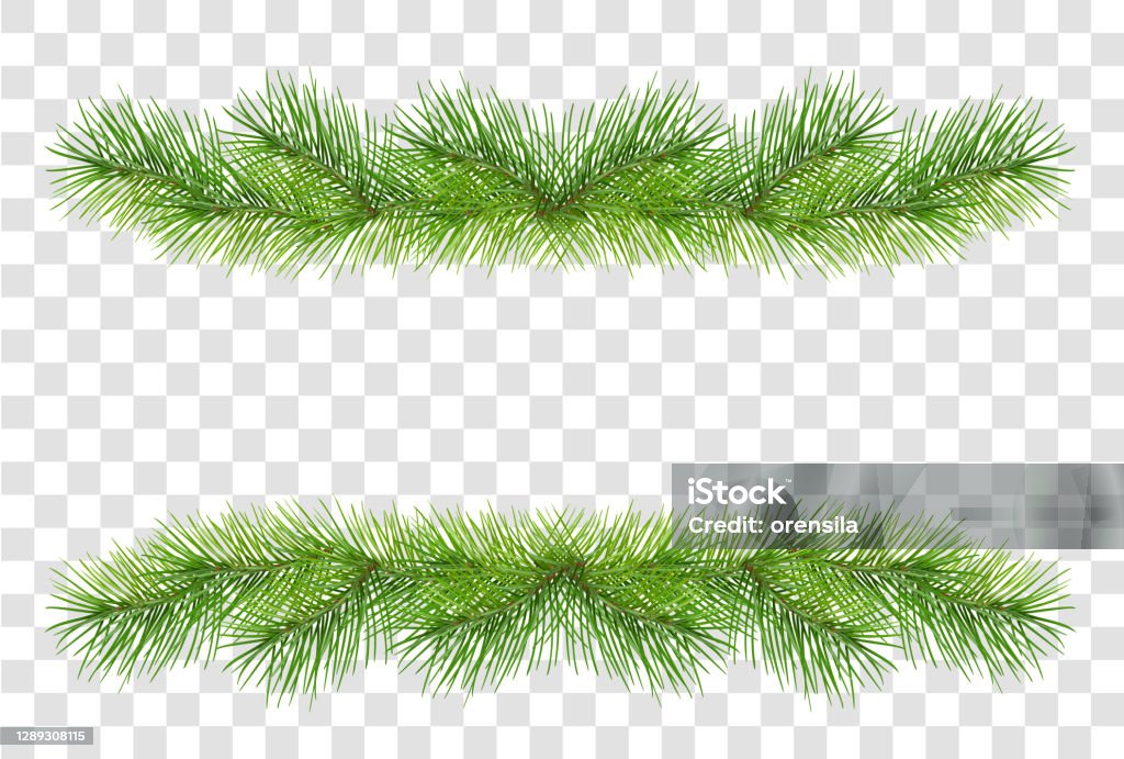 Green Fluffy Pine Branches For Christmas Garland Decoration Isolated On  Transparent Background Stock Illustration - Download Image Now - iStock