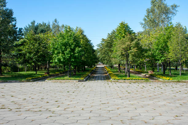 Early autumn. Walking in the city park