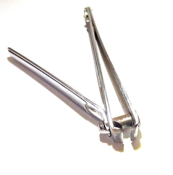 istock A picture of nail cutter 1289311454