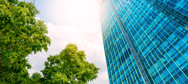 istock Big tree in the city for good environment. 1289317456