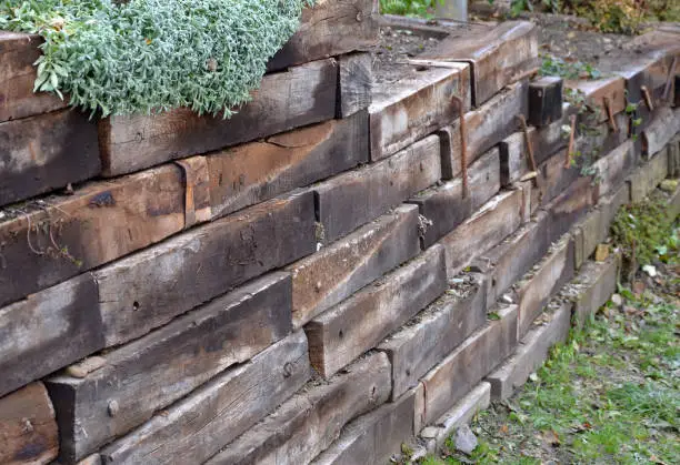 Photo of the retaining wall made of wooden sleepers is wooden and forms the edge of the perennial flowerbed. landscaping of brown palisade in a flowerbed reminiscent of brick blocks