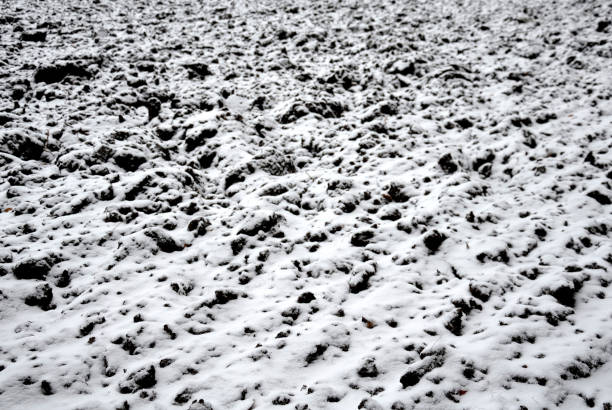abandoned, after, agriculture, alley, avium, background, black, blizzard, bombing, branches, care, cherry, cloudy, clump, country, dirt, dividing, edge, farmland, field, fruit, furrows, grass, horizont, landscape, lime, line, lowlands, meadow, orchard, patk, plain, prunus, ranch, rotten, row, sadness, silhouette, snowy, texture, torso, torsos, tree, trunk, trunks, verdun, war, white, wood un nuevo camino de parque hecho de cubos irregulares, plegado con un canal lateral para drenar el agua de la superficie de la carretera. piedras de granito de color gris y marrón en lugares el camino está cerrado barandilla de metal negro