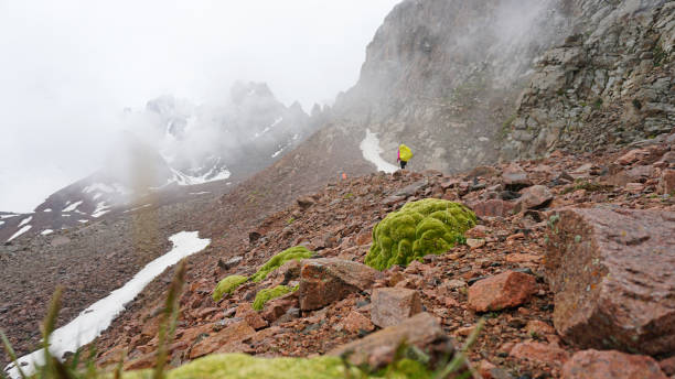 istock Huge clouds in snowy mountains and green moss 1289323026