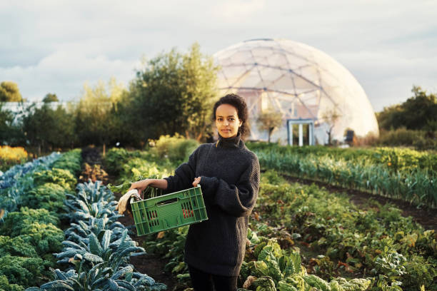 istock It's worth the effort to grow your own 1289323174