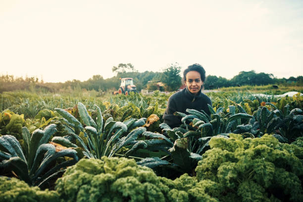 istock My crops are growing beautifully 1289323184