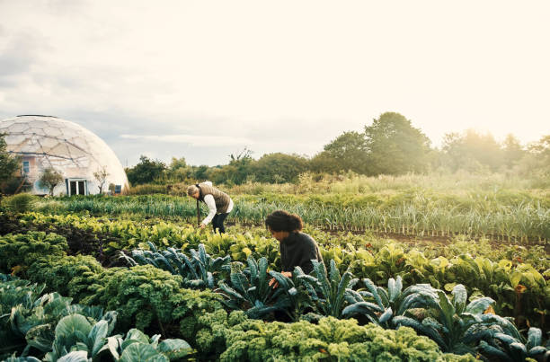 istock Putting their green thumbs to work 1289323187