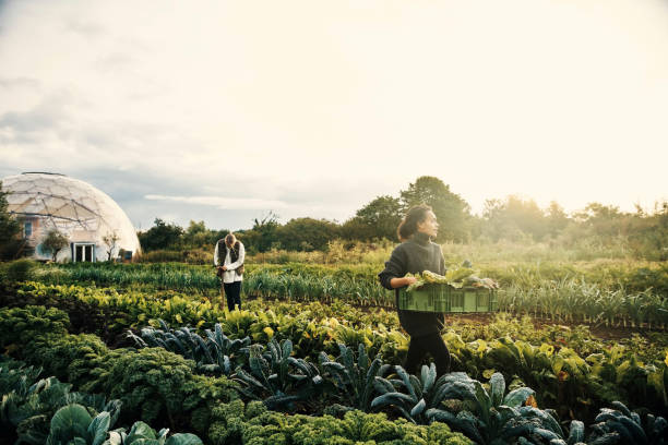 istock Working together in their thriving garden 1289323191