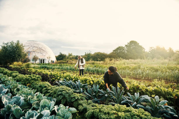 istock Living clean means living green 1289323199