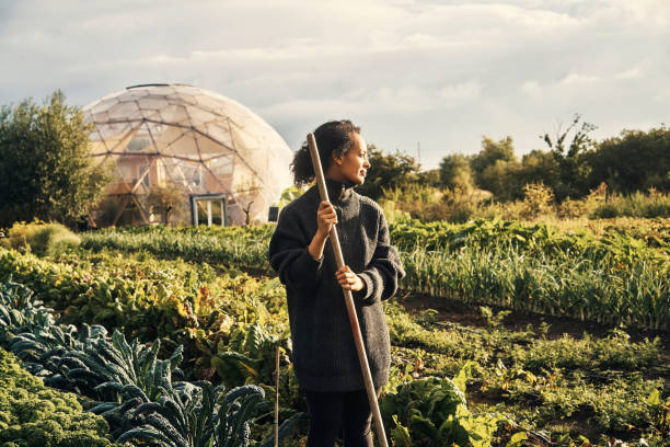 nature gives us so much goodness - crop farm nature man made imagens e fotografias de stock