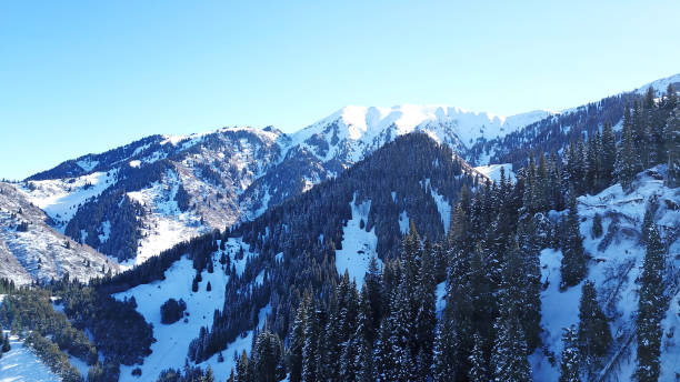 istock Winter forest high in the mountains 1289324160