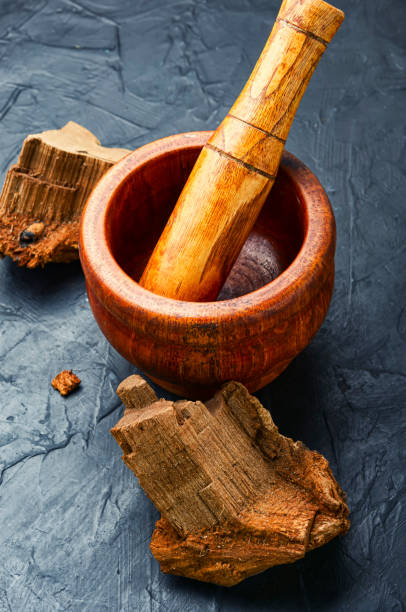 istock Tinder polypore in herbal medicine 1289326598
