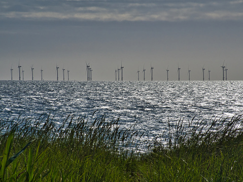 Offshore wind farm on horizon with sea and grassy dunes in foreground
