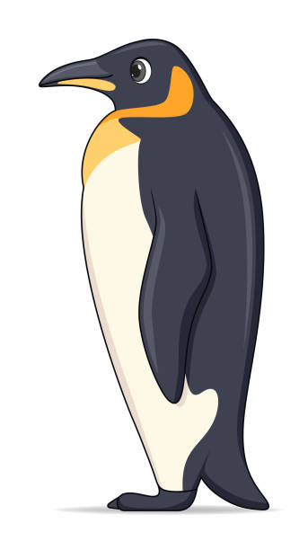 könig pinguin tier auf einem weißen hintergrund stehend. cartoon-stil vektor-illustration - penguin animal white background king penguin stock-grafiken, -clipart, -cartoons und -symbole