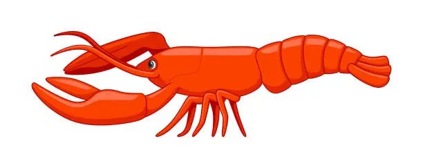 Vector illustration of Lobster fish on a white background