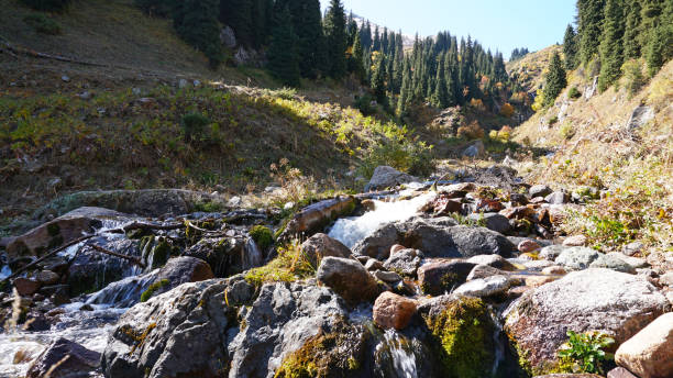 istock River in the gorge of mountains and meadows 1289331579