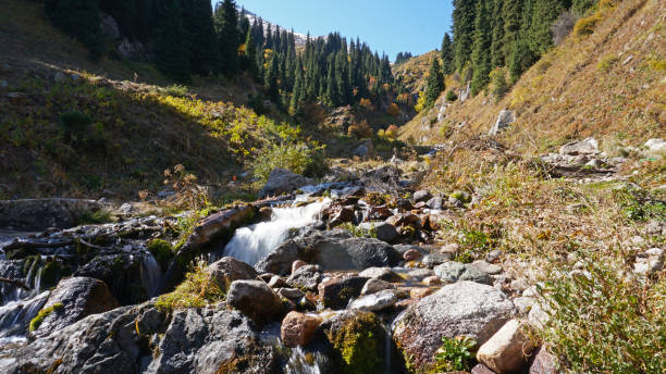 istock River in the gorge of mountains and meadows 1289331588