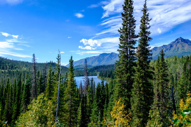 istock Long Lake, Glenn Highway, Alaska, USA. 1289334401