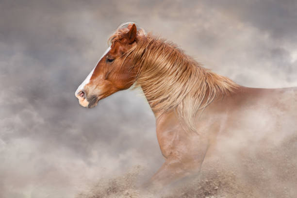 istock Red horse with long mane 1289339374