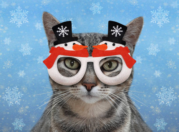 istock Cat gray in holiday glasses 2 1289339429