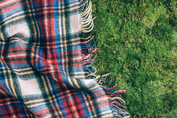istock Checkered picnic plaid on green grass background. Top view. Copy space. Summer picnic time 1289340534