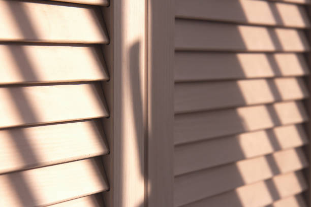 istock Contrasting shadows on louvered doors 1289341699