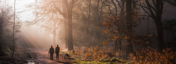 mother and daughter walking dogs in tranquil misty woods panorama - dog tranquil scene pets animals and pets imagens e fotografias de stock
