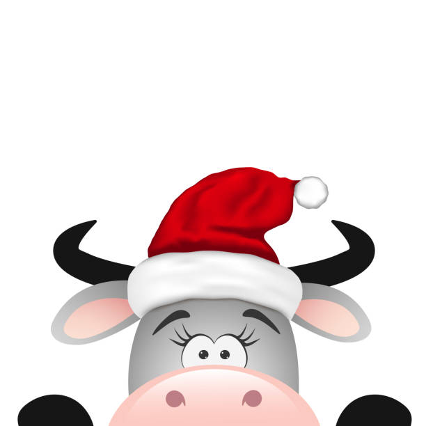 istock Funny gray bull on white background. Christmas card. 1289348209