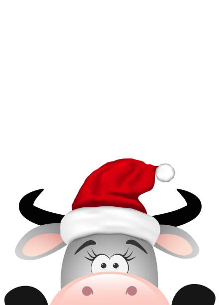 istock Funny gray bull on white background. Christmas card. 1289348423