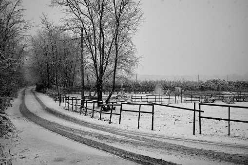 Country Road with snow