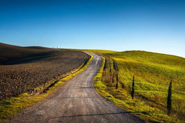 monteroni d'arbia, route of the via francigena. uphill road. siena, tuscany. italy - cypress tree fotos imagens e fotografias de stock