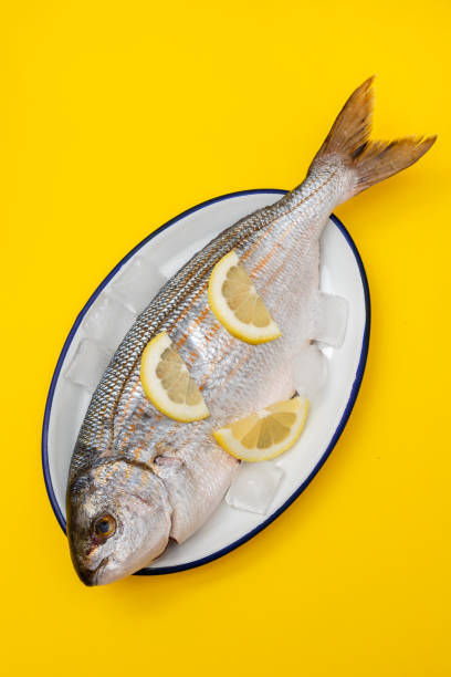 istock fresh white seabream with ice and lemon on dish 1289354549