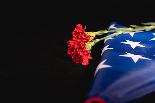 red carnation american flag on black background, funeral concept