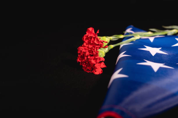 красная гвоздика американский флаг на черном фоне, похороны концепции - american flag folded usa flag стоковые фото и изображения