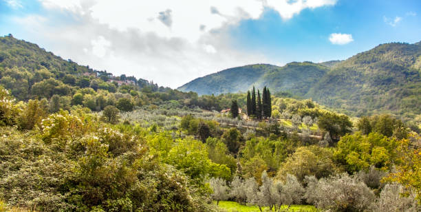 bellissimo paesaggio nella toscana centrale italia italia - cloud cloudscape color image cypress tree foto e immagini stock