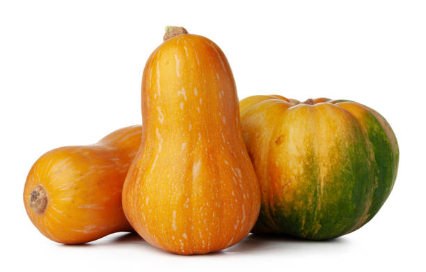 istock Pumpkins isolated on white background, studio shot 1289358333