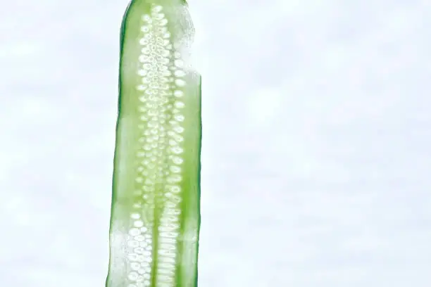 Cucumber slice of various width against light background. Closeup. Selective focus.