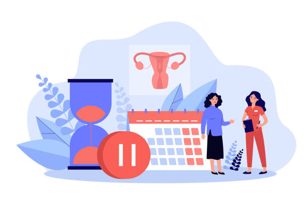 Woman consulting female doctor about menopause Woman consulting female doctor about menopause and estrogen level. Tiny characters with calendar, hourglass and pause sign. Vector illustration for gynecology, reproductive health problems concept gynecology stock illustrations