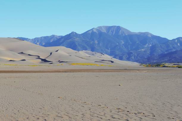istock Great Sand Dunes National Park and Preserve 1289363131