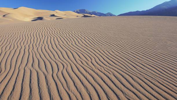 istock Great Sand Dunes National Park and Preserve 1289363807