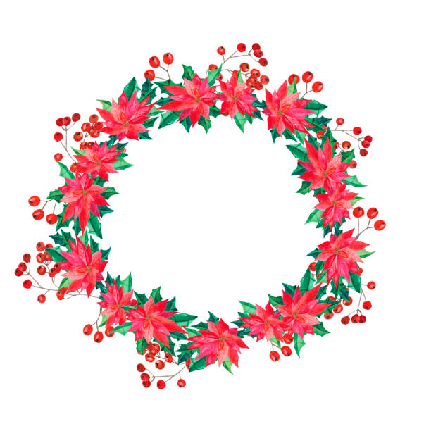 ポインセチアとユーカリの葉を持つ水彩クリスマスカード。白い背景に隔離された花のカードを挨拶するための明るい赤い花と緑の葉と手描きのイラスト。 - isolated on white growth symbol poinsettia点のイラスト素材／クリップアート素材／マンガ素材／アイコン素材