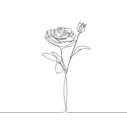 Ilustración de Dibujo De Una Sola Línea De Flor De Rosa Ilustración Vectorial y más Vectores Libres de Derechos de A la moda - iStock Ilustración de Dibujo De Una Sola Línea De Flor De Rosa Ilustración Vectorial y más Vectores Libres de Derechos de A la moda - iStock