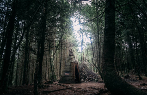A small structure in Haldon Forest, Exeter, Devon, UK.