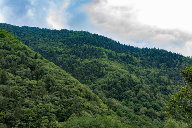 Ayder plateau mountains in cloudy weather