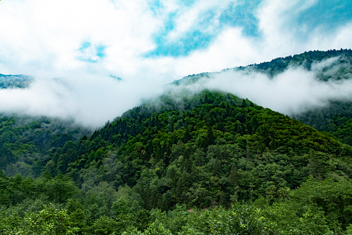 Ayder plateau mountains in cloudy weather
