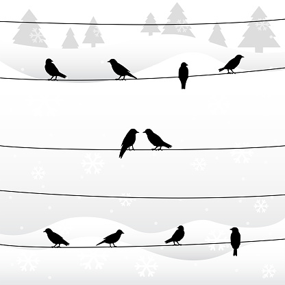 Silhouette of birds on wires in winter background. Vector illustration.