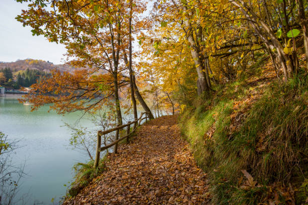 Pathway of the lake of Brugneto in autumn, province of Genoa, Antola Park, Italy stock photo