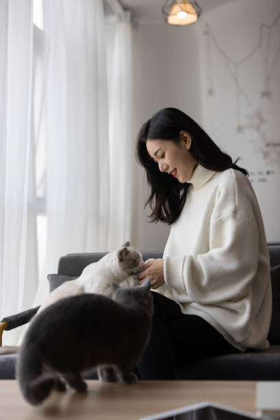 istock Girls and cats 1289373159